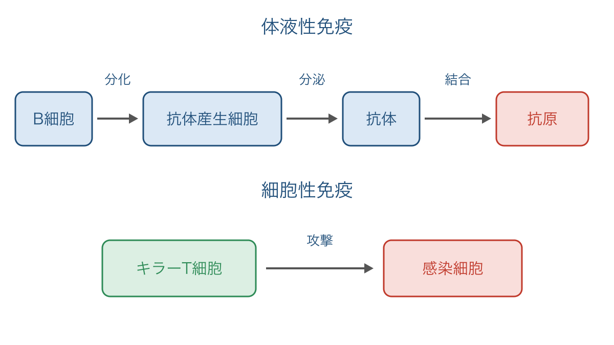 図2 体液性免疫と細胞性免疫で作用するものの違い