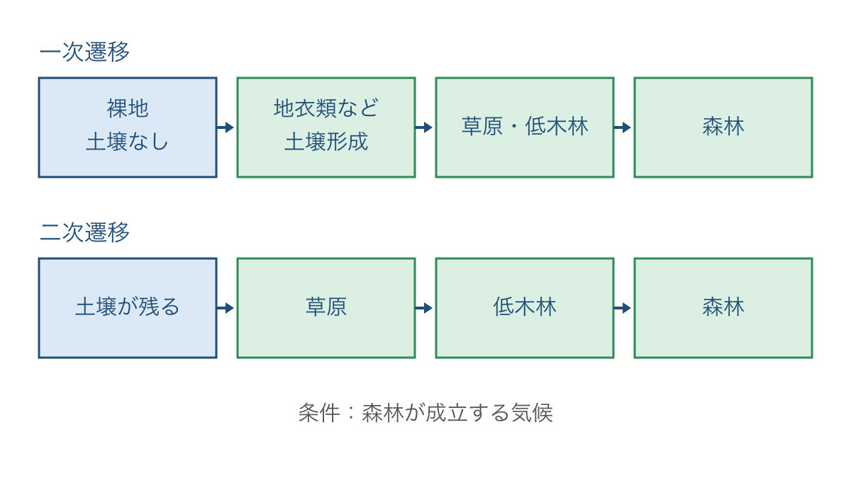 図3 土壌の有無で比べる一次遷移と二次遷移の出発点