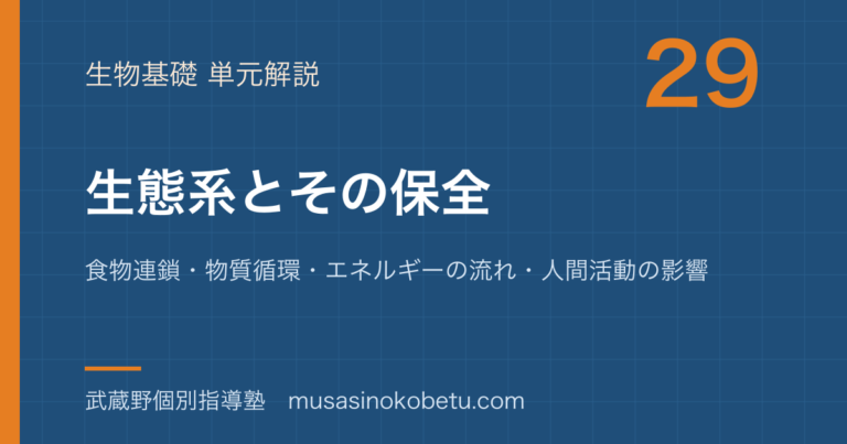 【生物基礎】生態系とその保全を図解で総まとめ—食物連鎖・物質循環・エネルギーの流れ・人間活動の影響のアイキャッチ