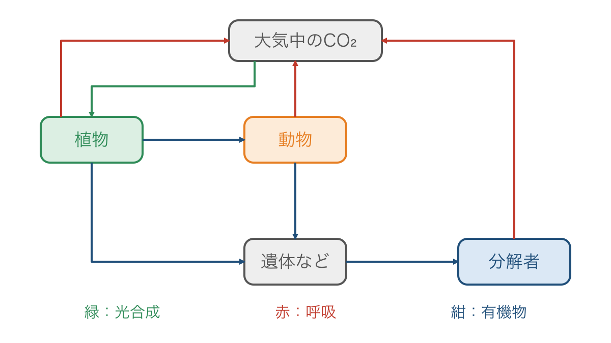 図2 光合成と呼吸や分解で移動する炭素の経路