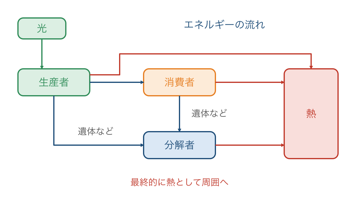図3 光から入り食物と分解者を経て熱になる流れ