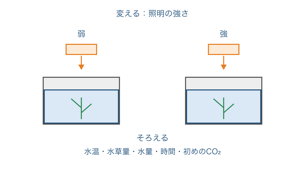 図3 照明の強さを比べる実験で変える条件とそろえる条件