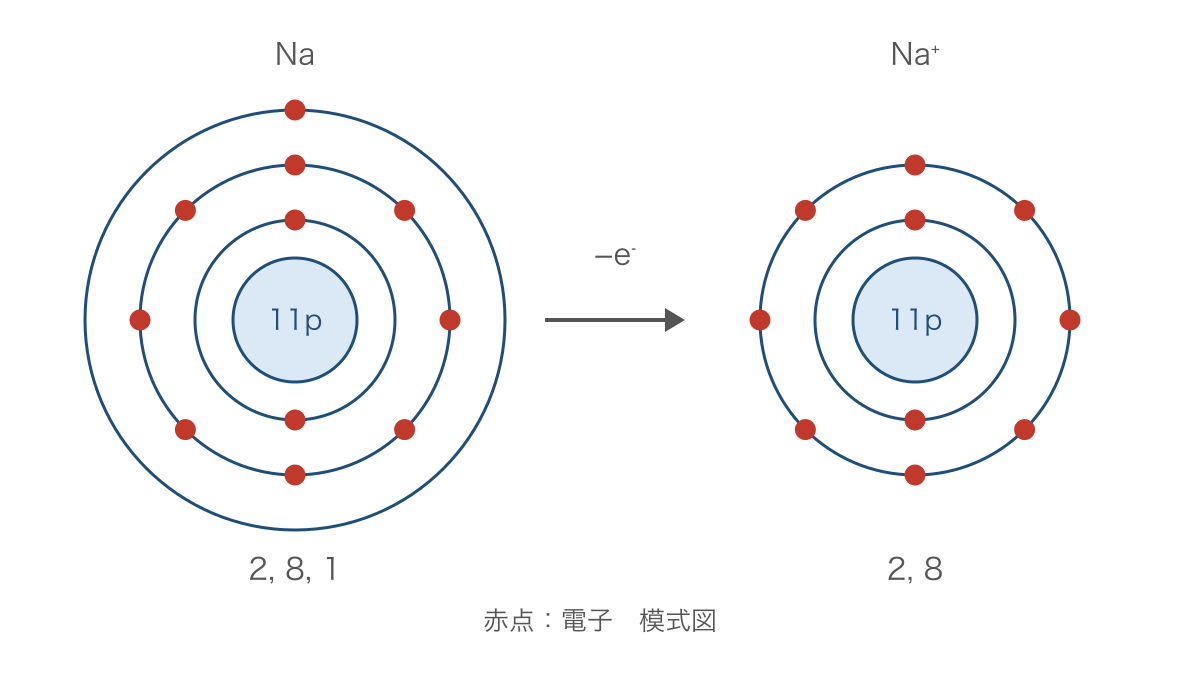 図2 ナトリウム原子が電子を失う前後の電子配置