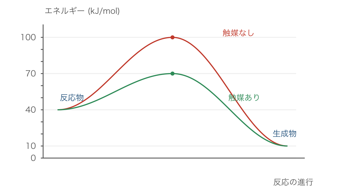 図2　触媒の有無による反応経路と活性化エネルギーの違い