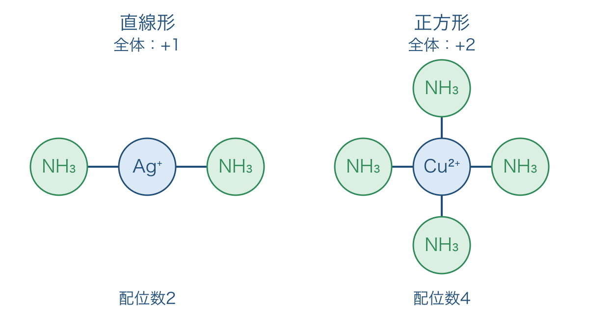 図2 銀と銅のアンミン錯イオンにおける配位子の配置