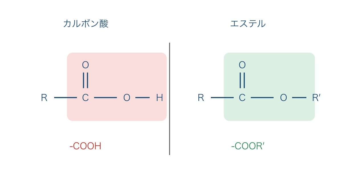 図1 カルボキシ基とエステル結合の構造の違い