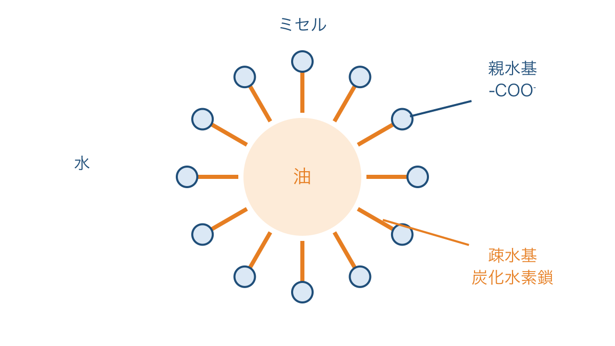 図3 油を囲むせっけんの親水基と疎水基の向き