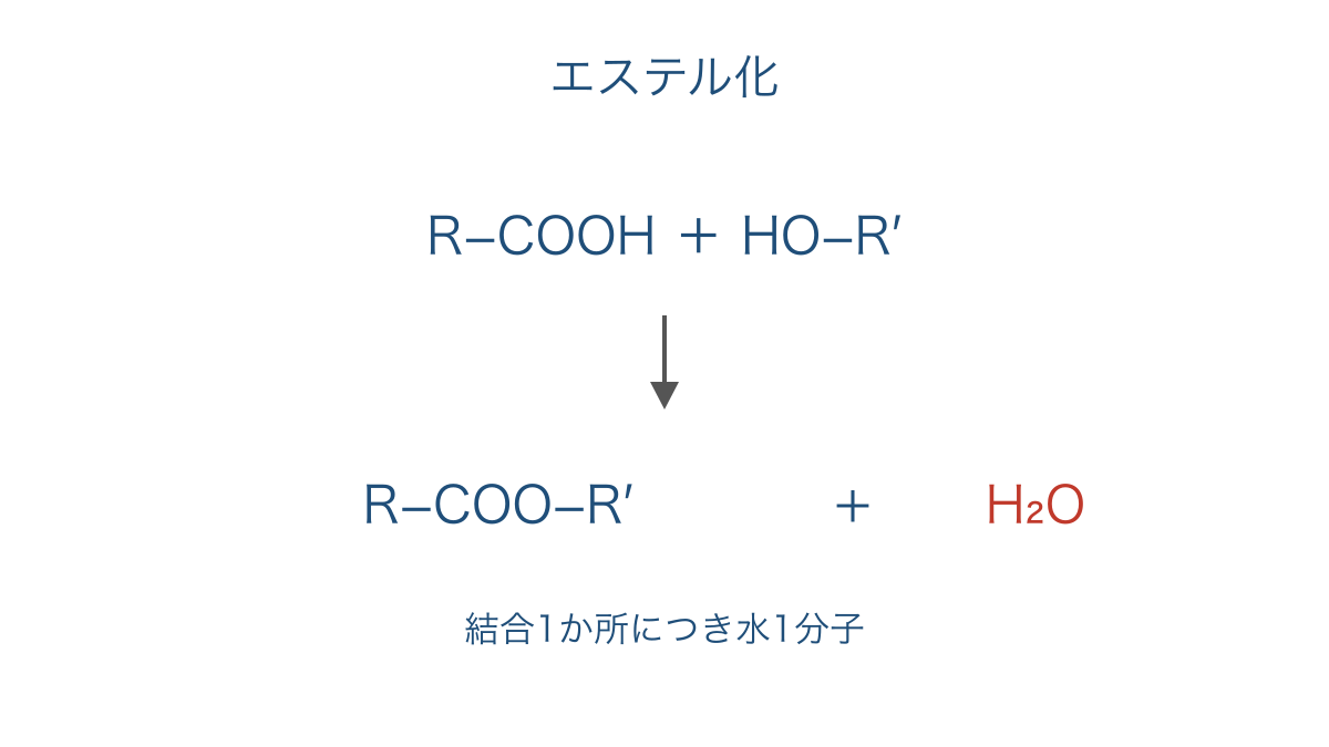 図2　エステル結合の形成と水として取れる部分の対応