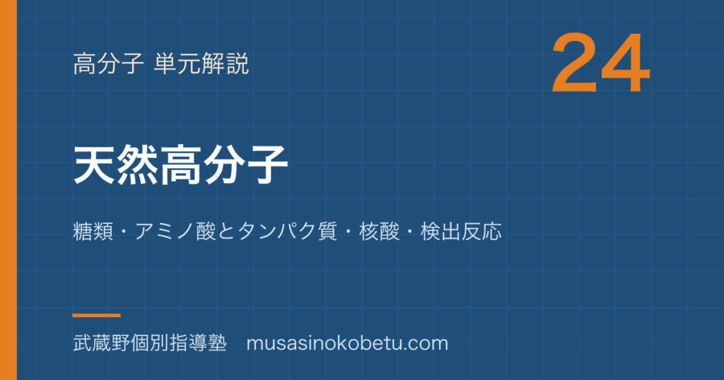 化学天然高分子を図解で総まとめ糖類アミノ酸とタンパク質核酸検出反応のアイキャッチ | 武蔵野個別指導塾 【化学】天然高分子を図解で総まとめ—糖類・アミノ酸とタンパク質・核酸・検出反応のアイキャッチ 武蔵野個別指導塾
