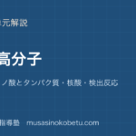 化学天然高分子を図解で総まとめ糖類アミノ酸とタンパク質核酸検出反応のアイキャッチ | 武蔵野個別指導塾 【化学】天然高分子を図解で総まとめ—糖類・アミノ酸とタンパク質・核酸・検出反応のアイキャッチ 武蔵野個別指導塾