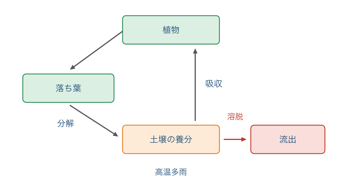 図2 熱帯雨林で養分が循環し土壌から流出する経路
