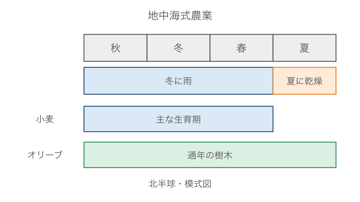 図2　地中海式農業の季節の乾湿と作物の対応