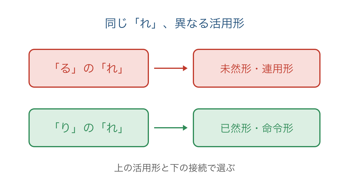 図3 「れ」が属する助動詞によって変わる活用形