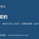 公共法と契約を図解で総まとめ私法の原則契約の成立と取消消費者保護成年の権利と責任のアイキャッチ | 武蔵野個別指導塾 【公共】法と契約を図解で総まとめ—私法の原則・契約の成立と取消・消費者保護・成年の権利と責任のアイキャッチ 武蔵野個別指導塾