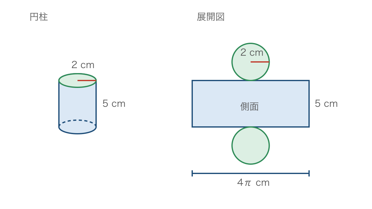 図2 円柱の側面を開いた長方形と底面の円の対応