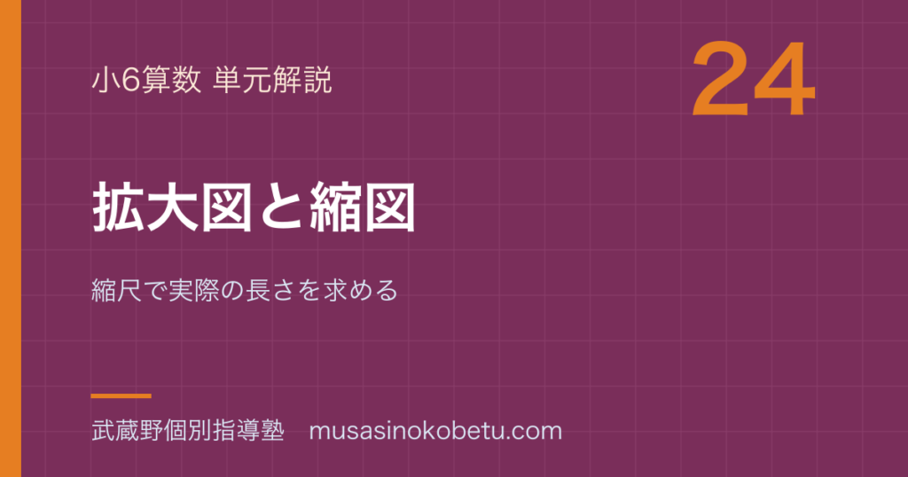 【小6算数】拡大図と縮図を図解で総まとめ—縮尺で実際の長さを求めるのアイキャッチ 武蔵野個別指導塾