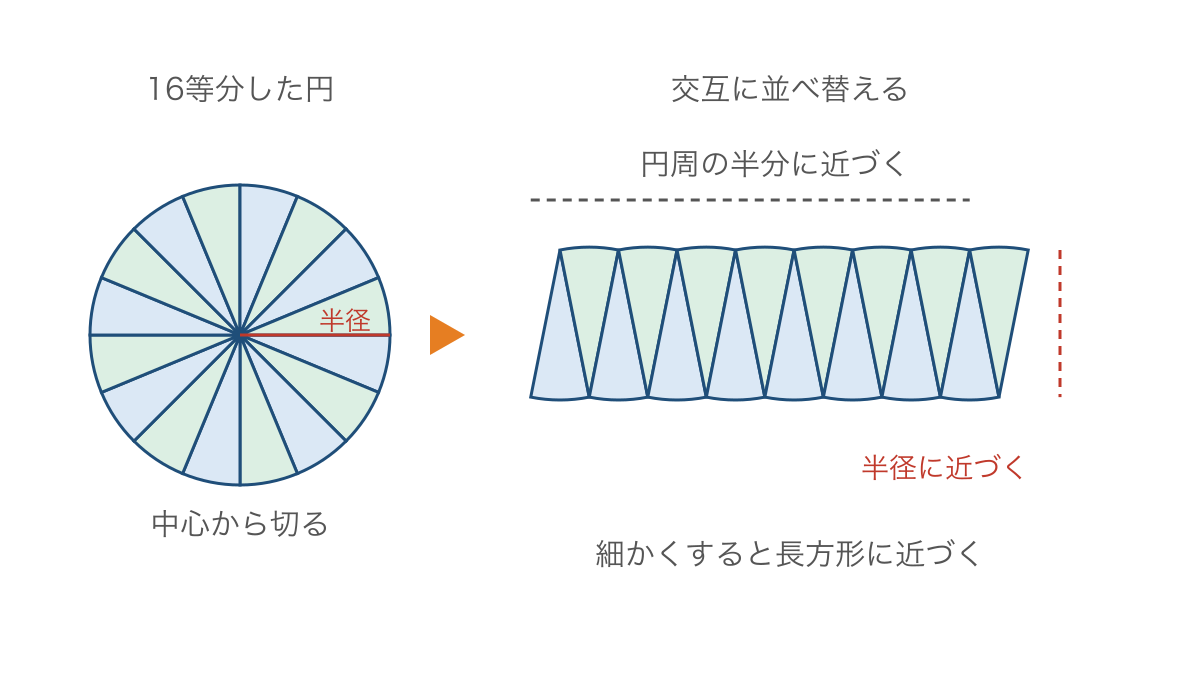 図1 円を等分して交互に並べ替えた形と半径の関係
