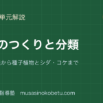 中1理科植物のつくりと分類を図解で総まとめ花葉根から種子植物とシダコケまでのアイキャッチ | 武蔵野個別指導塾 【中1理科】植物のつくりと分類を図解で総まとめ—花・葉・根から種子植物とシダ・コケまでのアイキャッチ 武蔵野個別指導塾