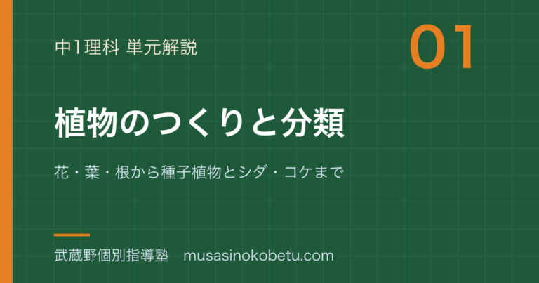 【中1理科】植物のつくりと分類を図解で総まとめ—花・葉・根から種子植物とシダ・コケまでのアイキャッチ