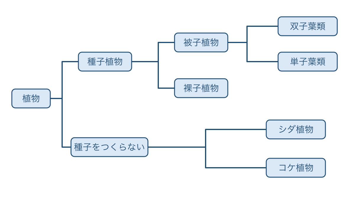 図3 種子の有無から各植物群へたどる分類の枝分かれ
