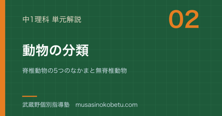 【中1理科】動物の分類を図解で総まとめ—脊椎動物の5つのなかまと無脊椎動物のアイキャッチ