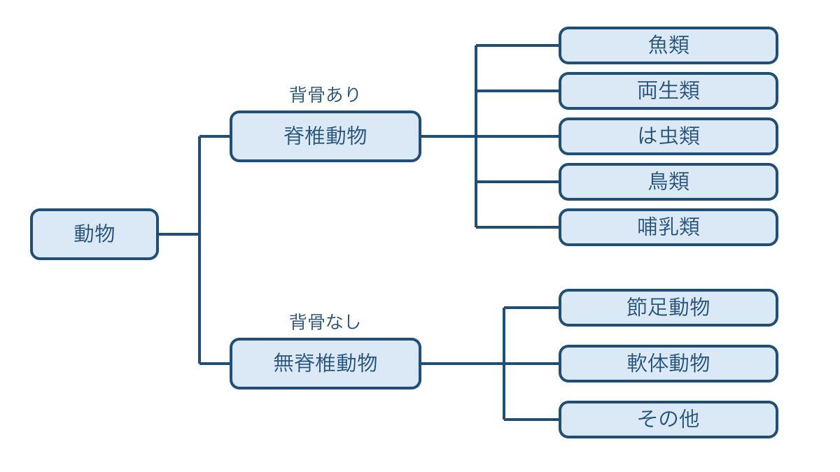 図1 背骨の有無から動物のなかまを分ける樹形図