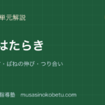 中1理科力のはたらきを図解で総まとめ力の表し方ばねの伸びつり合いのアイキャッチ | 武蔵野個別指導塾 【中1理科】力のはたらきを図解で総まとめ—力の表し方・ばねの伸び・つり合いのアイキャッチ 武蔵野個別指導塾
