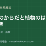 中2理科生物のからだと植物のはたらきを図解で総まとめ細胞光合成蒸散のアイキャッチ | 武蔵野個別指導塾 【中2理科】生物のからだと植物のはたらきを図解で総まとめ—細胞・光合成・蒸散のアイキャッチ 武蔵野個別指導塾