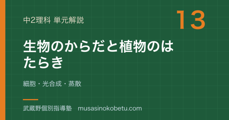 【中2理科】生物のからだと植物のはたらきを図解で総まとめ—細胞・光合成・蒸散のアイキャッチ