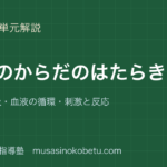 中2理科動物のからだのはたらきを図解で総まとめ消化呼吸血液の循環刺激と反応のアイキャッチ | 武蔵野個別指導塾 【中2理科】動物のからだのはたらきを図解で総まとめ—消化・呼吸・血液の循環・刺激と反応のアイキャッチ 武蔵野個別指導塾