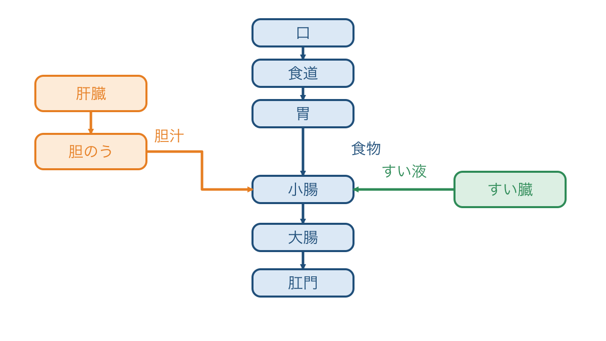 図1　食物が通る消化管の順序と消化液が届く経路