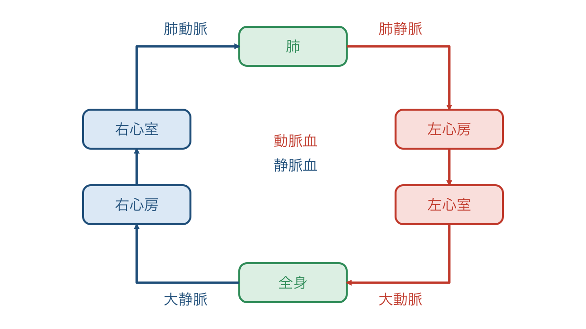 図2　肺と全身を結ぶ血液の流れと心臓の部屋