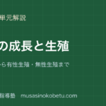 中3理科生物の成長と生殖を図解で総まとめ細胞分裂から有性生殖無性生殖までのアイキャッチ | 武蔵野個別指導塾 【中3理科】生物の成長と生殖を図解で総まとめ—細胞分裂から有性生殖・無性生殖までのアイキャッチ 武蔵野個別指導塾