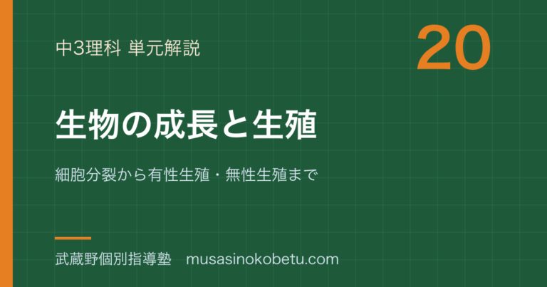 【中3理科】生物の成長と生殖を図解で総まとめ—細胞分裂から有性生殖・無性生殖までのアイキャッチ