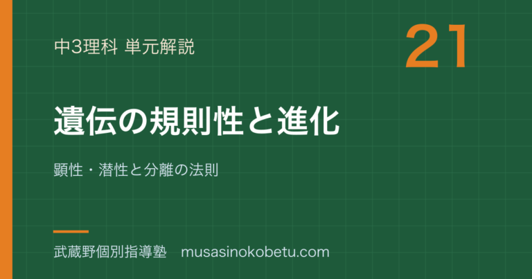 【中3理科】遺伝の規則性と進化を図解で総まとめ—顕性・潜性と分離の法則のアイキャッチ