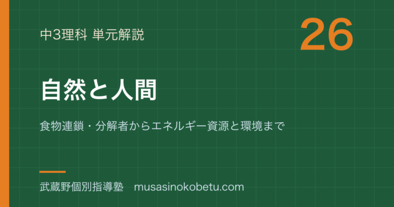【中3理科】自然と人間を図解で総まとめ—食物連鎖・分解者からエネルギー資源と環境までのアイキャッチ