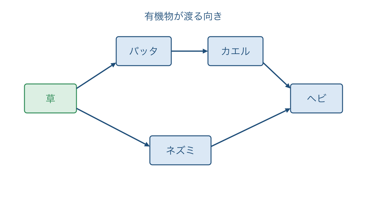 図1 草を出発点とする二つの経路がつながる食物網