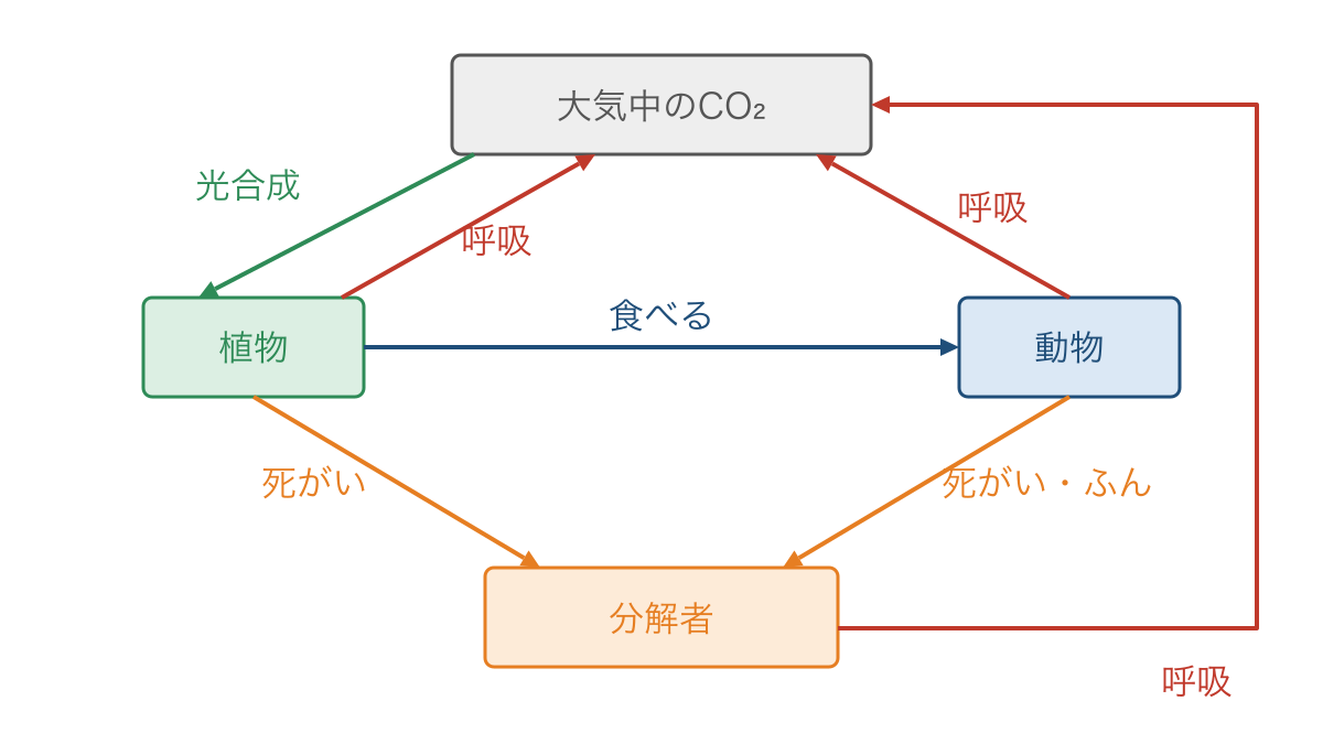 図3 植物と動物と分解者を通って循環する炭素