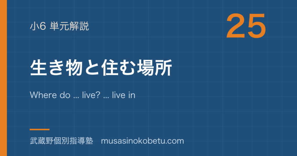 小6英語生き物と住む場所を図解で総まとめWhere do live live in eat のアイキャッチ | 武蔵野個別指導塾 【小6英語】生き物と住む場所を図解で総まとめ—Where do ... live? ... live in .... ... eat ....のアイキャッチ 武蔵野個別指導塾