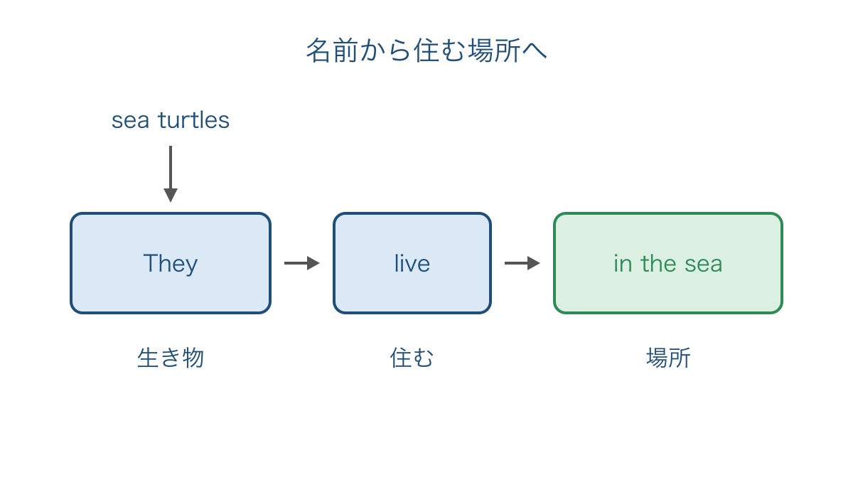 図1 ウミガメの名前と住む場所を文の順番で結ぶ図