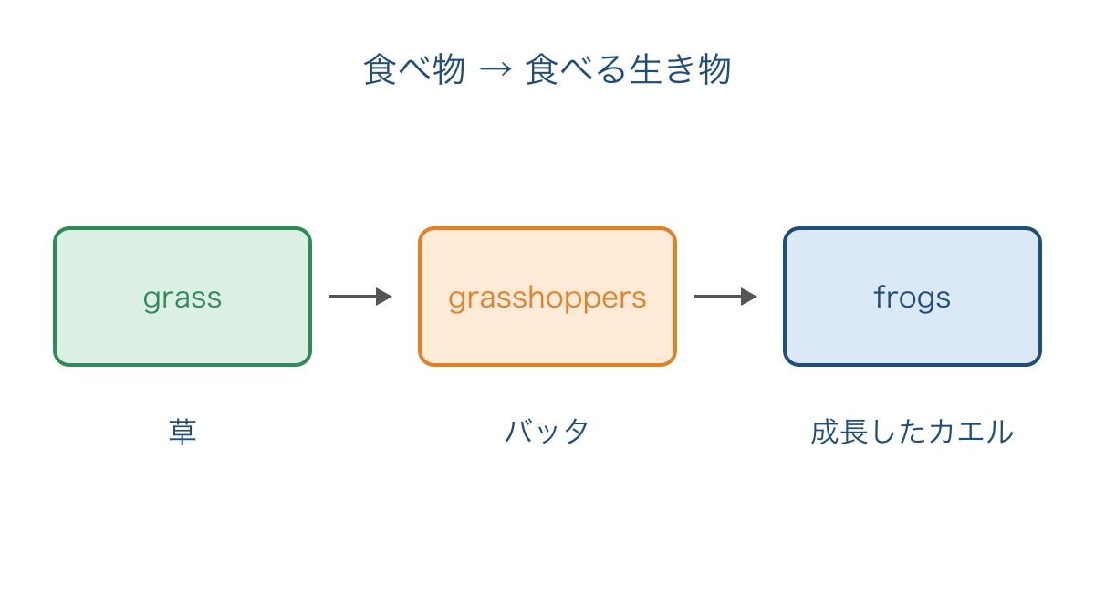 図2 草からバッタとカエルへ続く食べ物のつながり