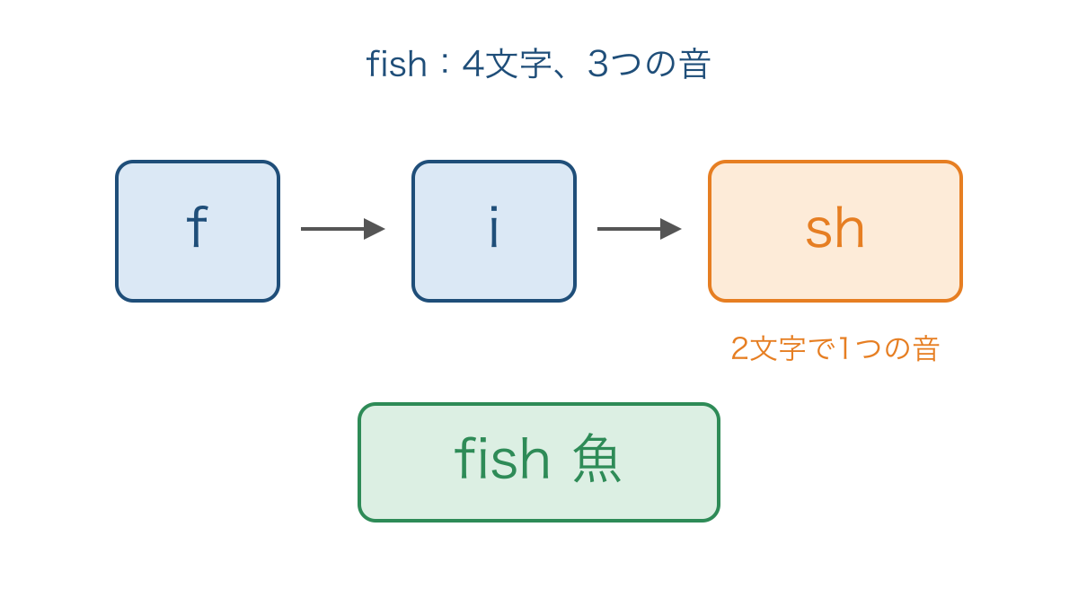 図2 魚を表す単語の末尾を二文字で一つの音にまとめる