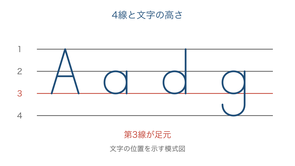 図3 四本の線を使って文字の高さと下への伸びを比べる