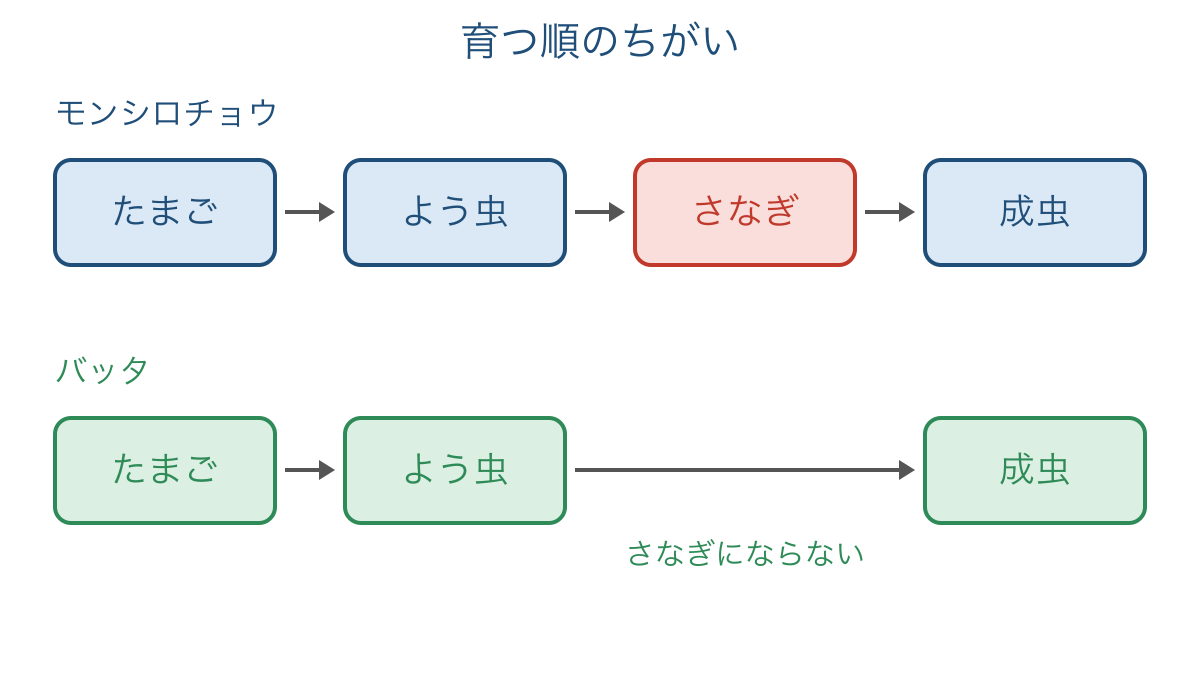 図2 モンシロチョウとバッタの育つ順とさなぎの有無