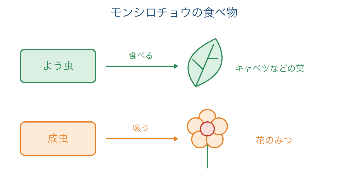 図3 モンシロチョウのよう虫と成虫で異なる食べ物