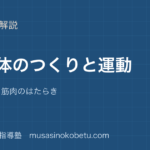 【小4理科】人の体のつくりと運動を図解で総まとめ—骨・関節・筋肉のはたらきのアイキャッチ 武蔵野個別指導塾