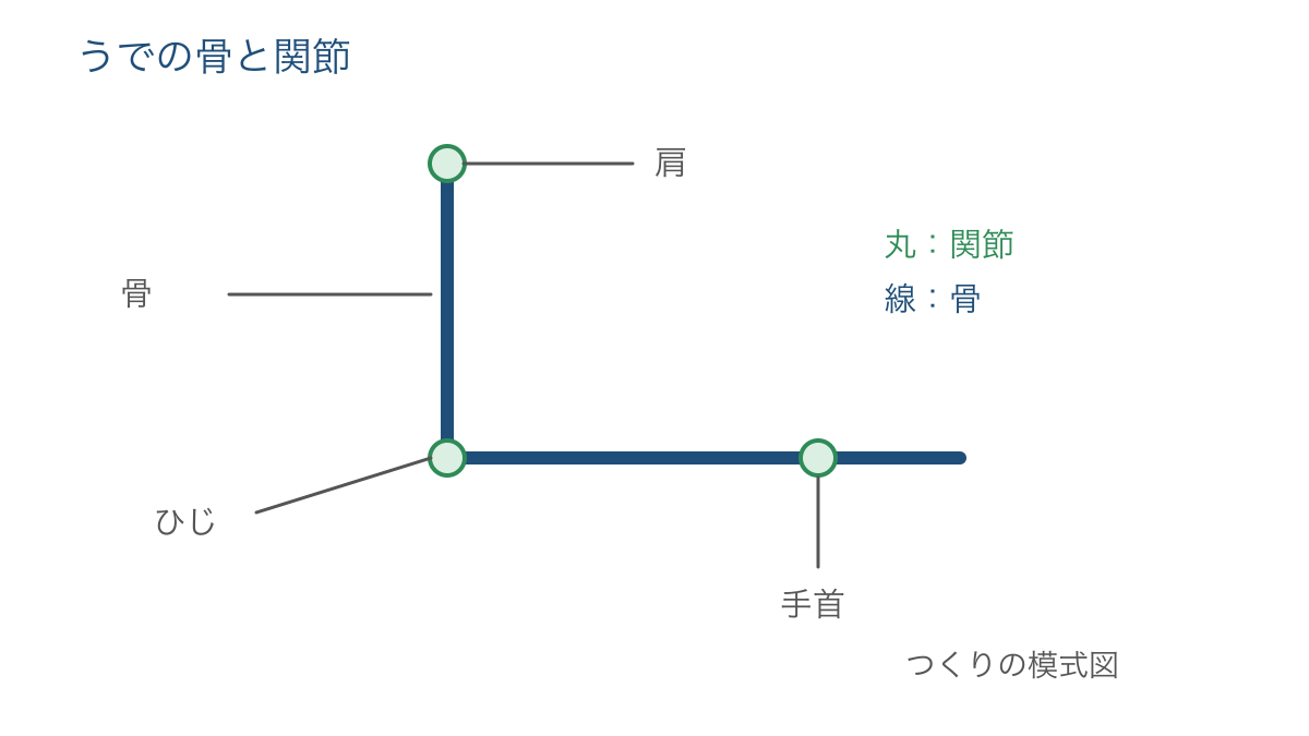 図1 うでの骨のつながりと肩・ひじ・手首の関節