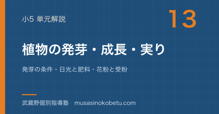 【小5理科】植物の発芽・成長・実りを図解で総まとめ—発芽の条件・日光と肥料・花粉と受粉のアイキャッチ
