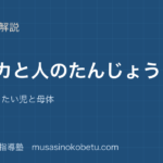 小5理科メダカと人のたんじょうを図解で総まとめ卵の育ちたい児と母体のアイキャッチ | 武蔵野個別指導塾 【小5理科】メダカと人のたんじょうを図解で総まとめ—卵の育ち・たい児と母体のアイキャッチ 武蔵野個別指導塾