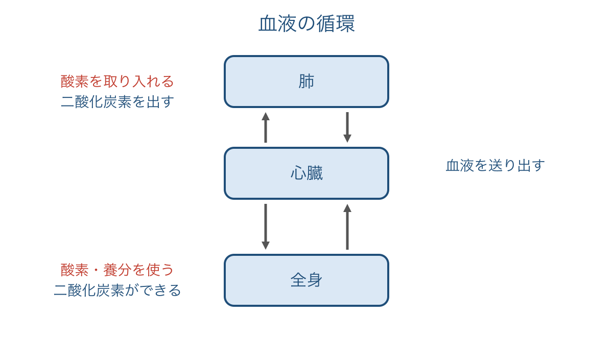 図3 心臓を通って肺と全身をめぐる血液の流れ